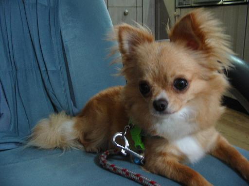 ���݂ʂ���������Ƃ��ʂ̂킳��