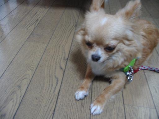 ���݂ʂ���������Ƃ��ʂ̂킳��