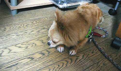 ���݂ʂ���������Ƃ��ʂ̂킳��