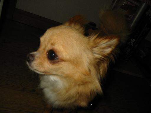 ���݂ʂ���������Ƃ��ʂ̂킳��