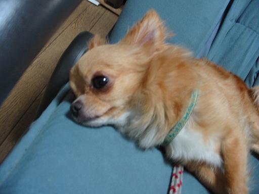 ���݂ʂ���������Ƃ��ʂ̂킳��