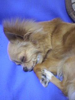 ���݂ʂ���������Ƃ��ʂ̂킳��