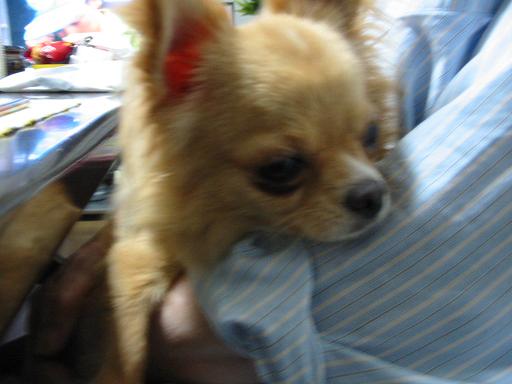 ���݂ʂ���������Ƃ��ʂ̂킳��