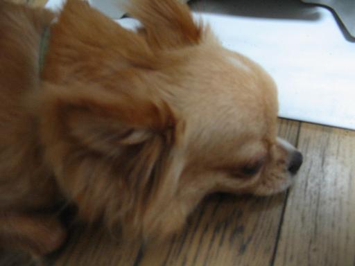 ���݂ʂ���������Ƃ��ʂ̂킳��