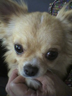 ���݂ʂ���������Ƃ��ʂ̂킳��