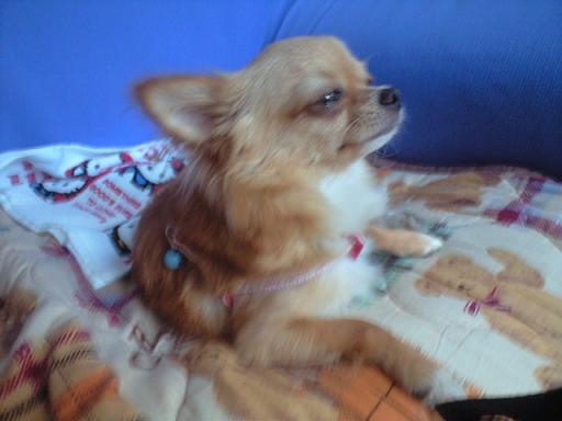 ���݂ʂ���������Ƃ��ʂ̂킳��