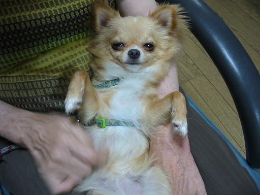 ���݂ʂ���������Ƃ��ʂ̂킳��