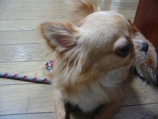 ���݂ʂ���������Ƃ��ʂ̂킳��