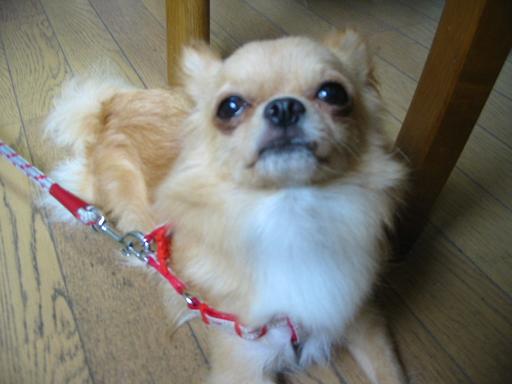 ���݂ʂ���������Ƃ��ʂ̂킳��