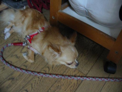 ���݂ʂ���������Ƃ��ʂ̂킳��