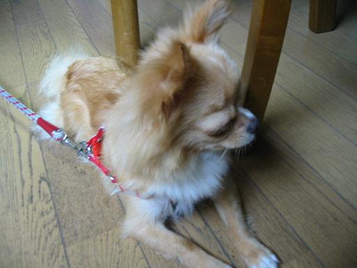 ���݂ʂ���������Ƃ��ʂ̂킳��