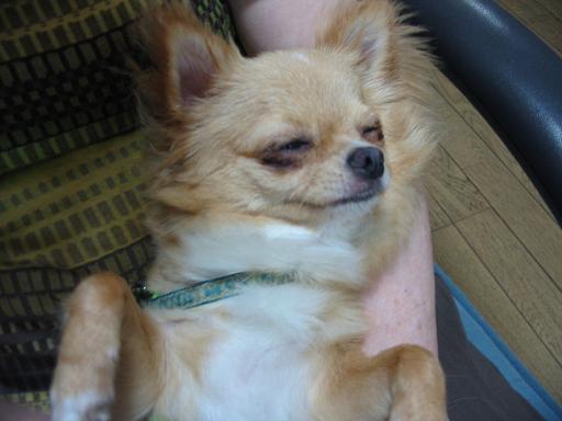 ���݂ʂ���������Ƃ��ʂ̂킳��