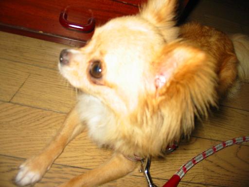 ���݂ʂ���������Ƃ��ʂ̂킳��