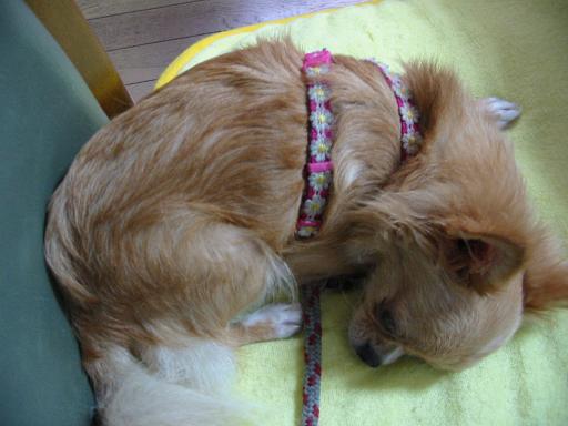 ���݂ʂ���������Ƃ��ʂ̂킳��