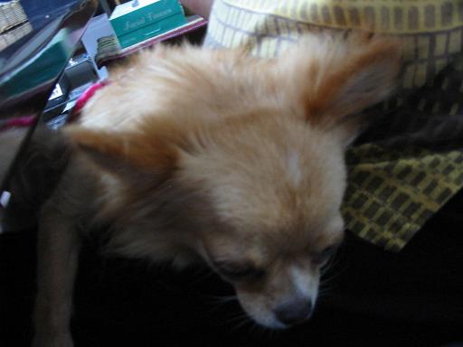 ���݂ʂ���������Ƃ��ʂ̂킳��