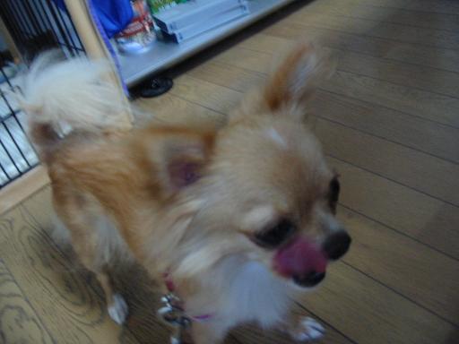 ���݂ʂ���������Ƃ��ʂ̂킳��