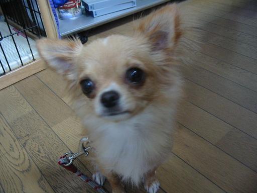 ���݂ʂ���������Ƃ��ʂ̂킳��