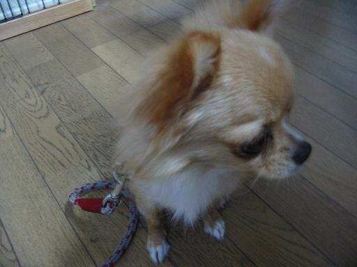 ���݂ʂ���������Ƃ��ʂ̂킳��