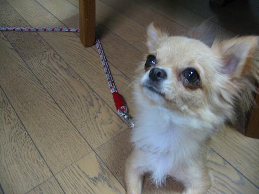 ���݂ʂ���������Ƃ��ʂ̂킳��