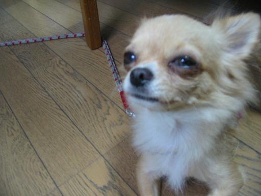 ���݂ʂ���������Ƃ��ʂ̂킳��