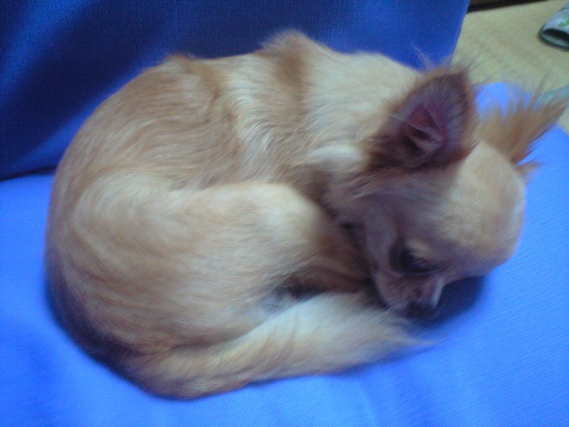 ���݂ʂ���������Ƃ��ʂ̂킳��