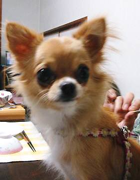 ���݂ʂ���������Ƃ��ʂ̂킳��