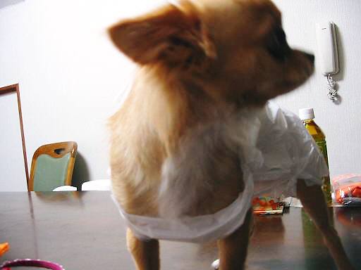 ���݂ʂ���������Ƃ��ʂ̂킳��