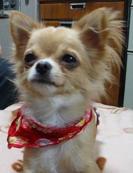 ���݂ʂ���������Ƃ��ʂ̂킳��