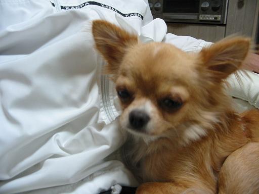 ���݂ʂ���������Ƃ��ʂ̂킳��