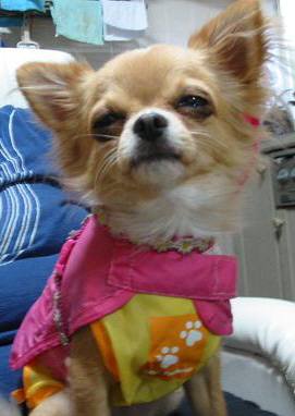 ���݂ʂ���������Ƃ��ʂ̂킳��