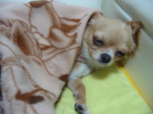 ���݂ʂ���������Ƃ��ʂ̂킳��