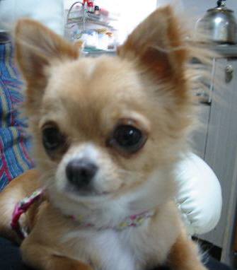 ���݂ʂ���������Ƃ��ʂ̂킳��