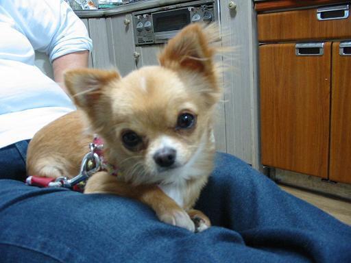 ���݂ʂ���������Ƃ��ʂ̂킳��