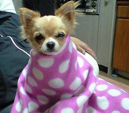 ���݂ʂ���������Ƃ��ʂ̂킳��