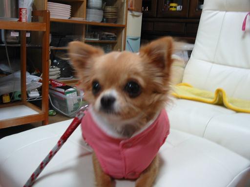 ���݂ʂ���������Ƃ��ʂ̂킳��