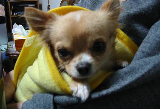 ���݂ʂ���������Ƃ��ʂ̂킳��