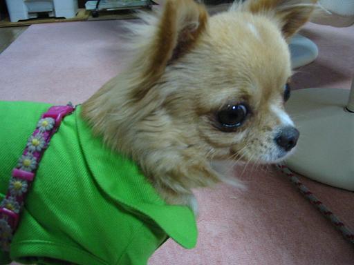 ���݂ʂ���������Ƃ��ʂ̂킳��