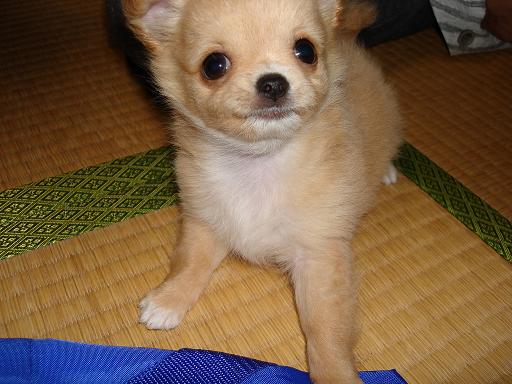 ���݂ʂ���������Ƃ��ʂ̂킳��