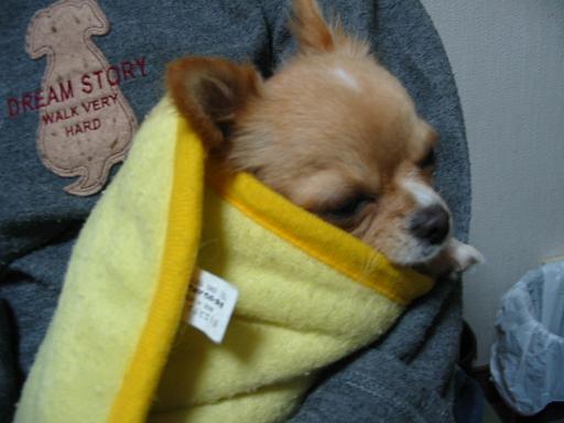 ���݂ʂ���������Ƃ��ʂ̂킳��