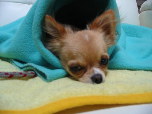 ���݂ʂ���������Ƃ��ʂ̂킳��