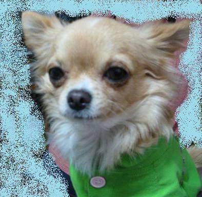 ���݂ʂ���������Ƃ��ʂ̂킳��