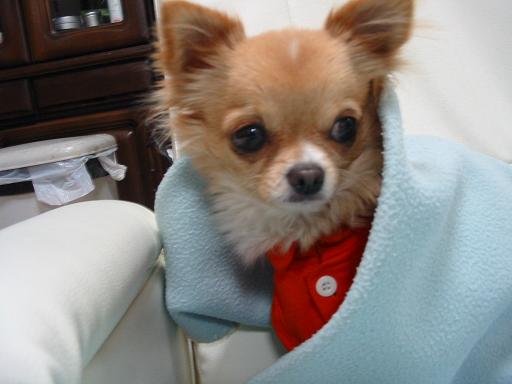 ���݂ʂ���������Ƃ��ʂ̂킳��