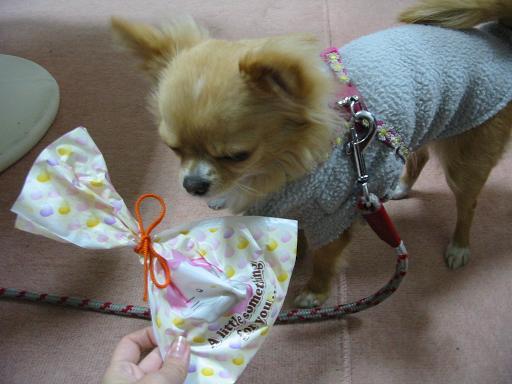 ���݂ʂ���������Ƃ��ʂ̂킳��