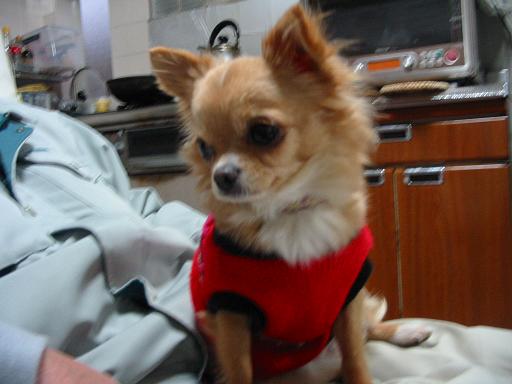 ���݂ʂ���������Ƃ��ʂ̂킳��