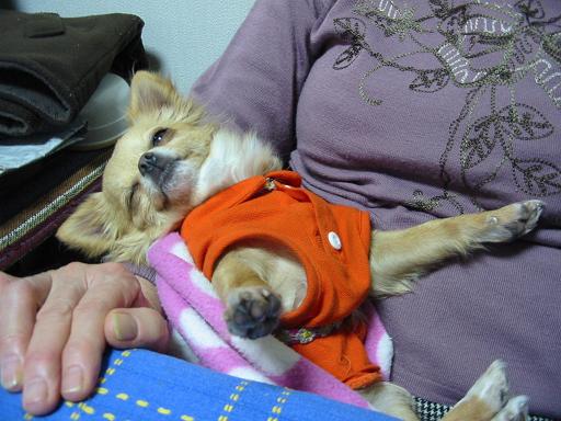 ���݂ʂ���������Ƃ��ʂ̂킳��