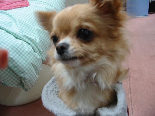 ���݂ʂ���������Ƃ��ʂ̂킳��