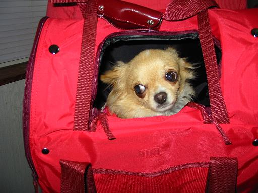 ���݂ʂ���������Ƃ��ʂ̂킳��