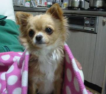 ���݂ʂ���������Ƃ��ʂ̂킳��