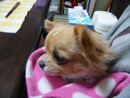 ���݂ʂ���������Ƃ��ʂ̂킳��