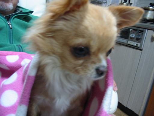 ���݂ʂ���������Ƃ��ʂ̂킳��